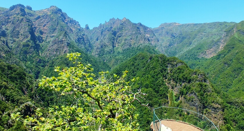 Ribeiro Frio Natural Park Summer attractions on Madeira Island
